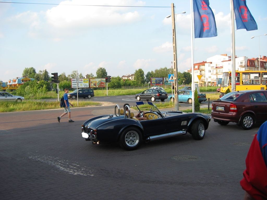 Cobra-01.JPG