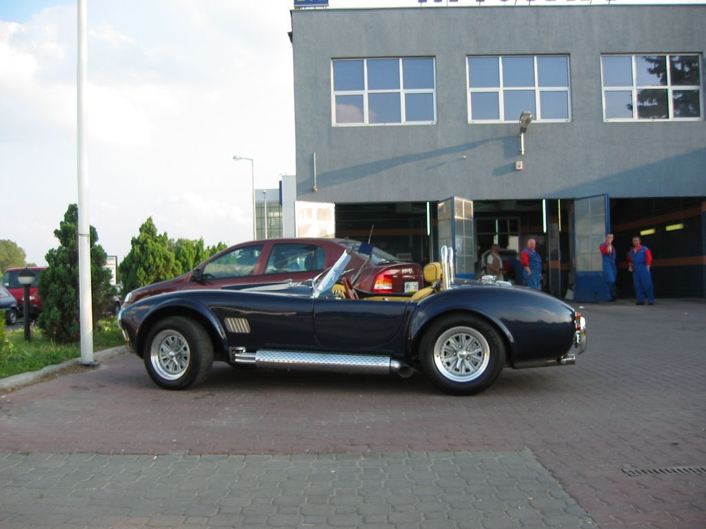 Cobra-05.JPG