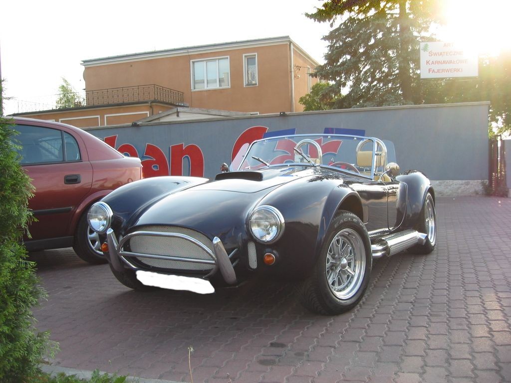 Cobra-06.JPG