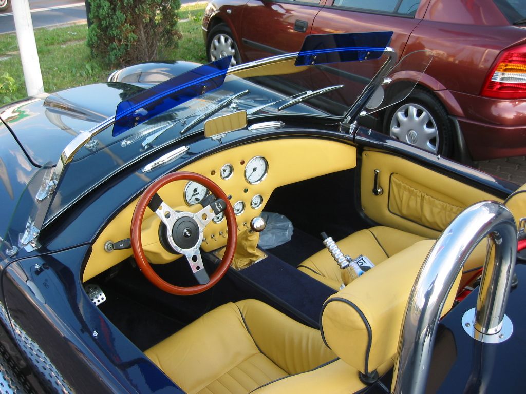 Cobra-07.JPG