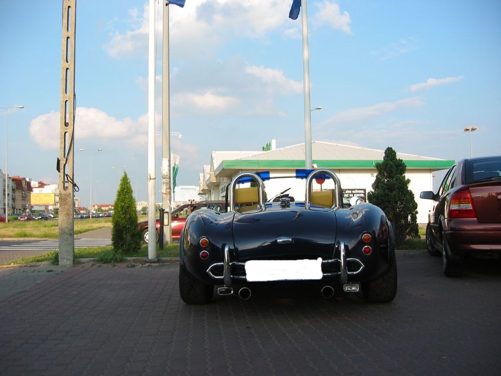 Cobra-08.JPG